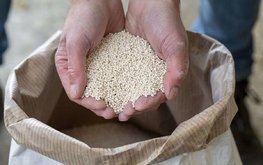 Россельхознадзор сообщил о поставках аминокислот в РФ