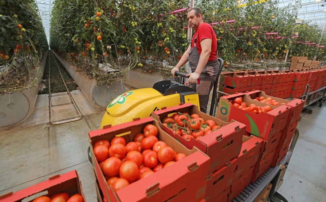 В Липецкой области растёт производство продукции сельского хозяйства