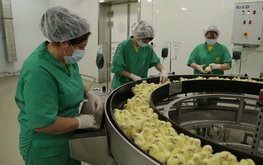 В Дагестане введут в эксплуатацию первый завод по производству гранулированных комбикормов
