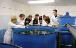 Проектную деятельность аграрных вузов скорректируют под задачи импортозамещения