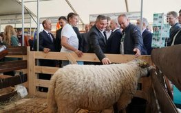 &laquo;Агро-Матик&raquo; на выставке племенных овец и коз