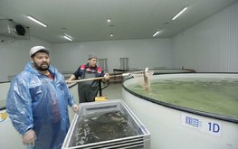 Минэкологии Казахстана обновило правила субсидирования аквакультуры