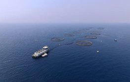 Саудовская Аравия намерена стать мировым лидером аквакультуры