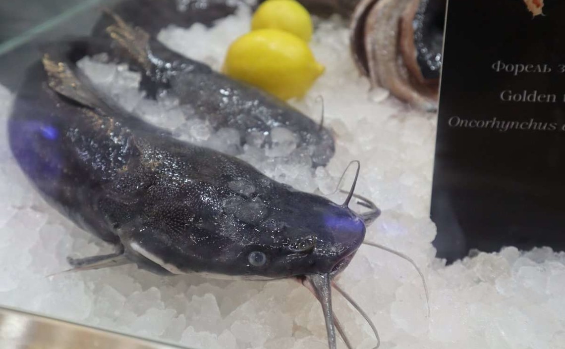 Seafood Expo Russia и Chefs team запустят серию мероприятий &laquo;Рыба есть!&raquo;