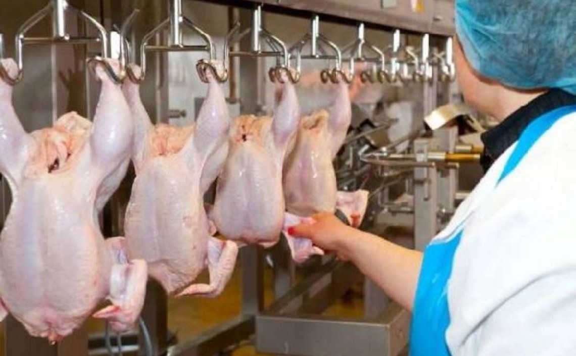 В Тамбовской области увеличился экспорт мяса птицы