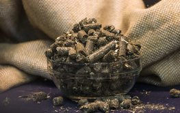 Производство жмыхов в России рекордно выросло