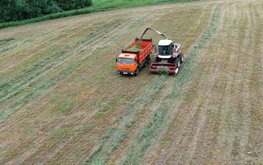Минсельхоз: в России набирает обороты кампания по заготовке кормов для животноводства