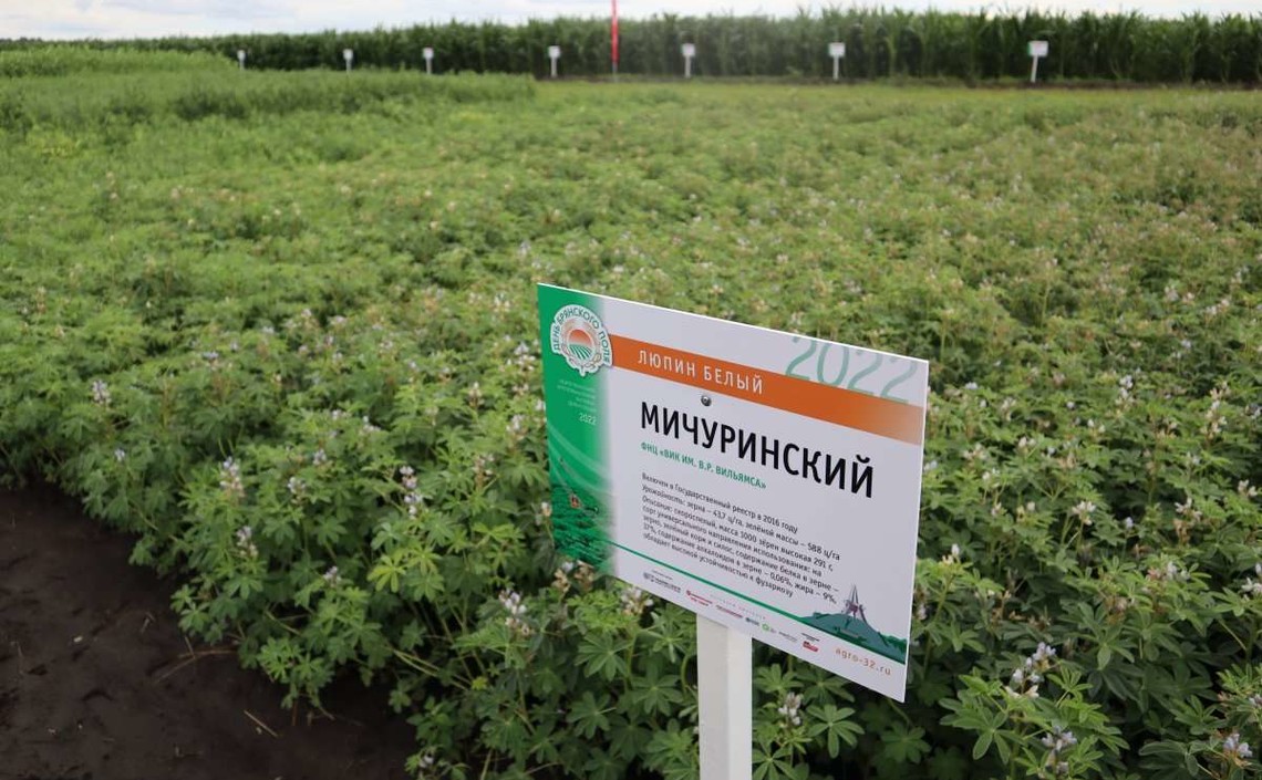 "Агро-Матик" на сельхозвыставке в Брянске