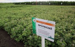 "Агро-Матик" на сельхозвыставке в Брянске