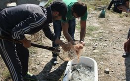 В Ростовской области выращивают форель и развивают агротуризм