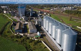 Производство кормов для домашних животных увеличивают в Беларуси