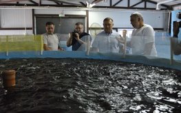 На Дону расширяется видовой состав аквакультуры