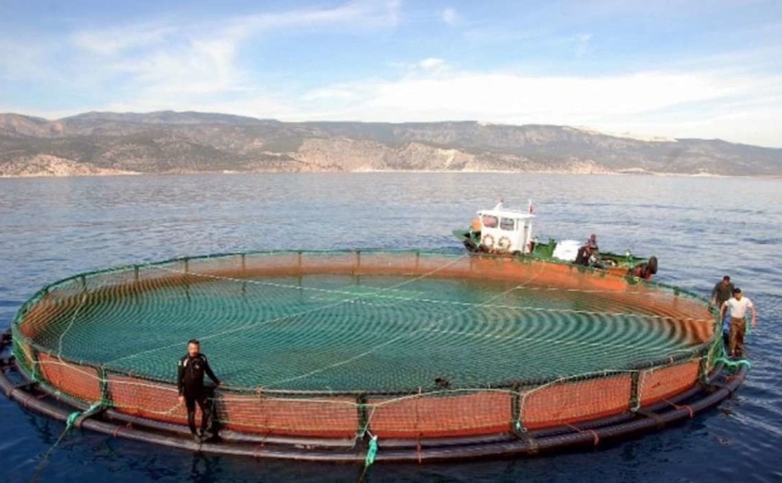 Морское рыболовство и рыбоводство &mdash; в числе приоритетных направлений новой Морской доктрины