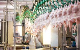 Тамбовская область наращивает экспорт мяса