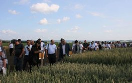 Перспективы развития семеноводства обсудили сельхозпроизводители Красноярского края
