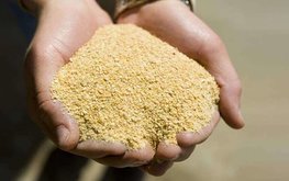 Индонезийский импорт соевого шрота сократился на 4%