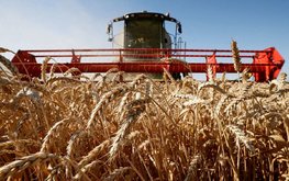 Названы четыре драйвера развития АПК на ближайшие три года