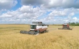 Пензенская область лидирует в Приволжском федеральном округе по урожайности