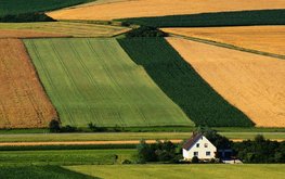 Великобритания: AIC отклоняет рекомендацию WWF исключить зерновые из кормов