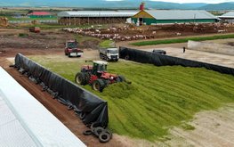 Правительство смягчило условия получения грантов для сельхозпроизводителей