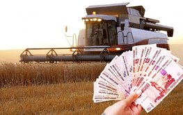 Правительство расширило меры поддержки сельхозпроизводителей