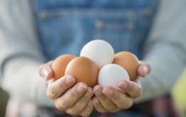 Производство куриных яиц выросло в РФ на 3%