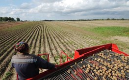 Сельхозпроизводство в России с начала года выросло более чем на 4%