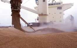 Минсельхоз Турции: Цены на зерно благодаря &laquo;продуктовой сделке&raquo; снизились до $330 за тонну