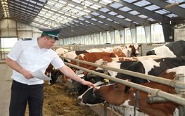 Минсельхоз предлагает внести изменения в положение о ветнадзоре