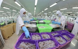 Вьетнамские производители морепродуктов видят возможность для бизнеса в отходах аквакультуры