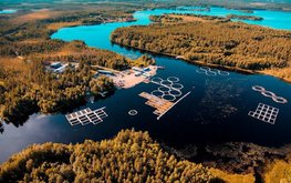 В форелевых хозяйствах Карелии доля кормов из ЕС сократилась более чем на 50%
