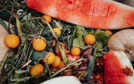 Просроченные продукты планируют продавать на бирже вторсырья для переработки