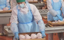Иран разрешил поставки продукции птицеводства из России