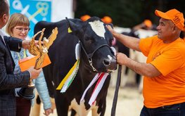 Госдума продлила освобождение от НДС при импорте племенных животных и рыбы