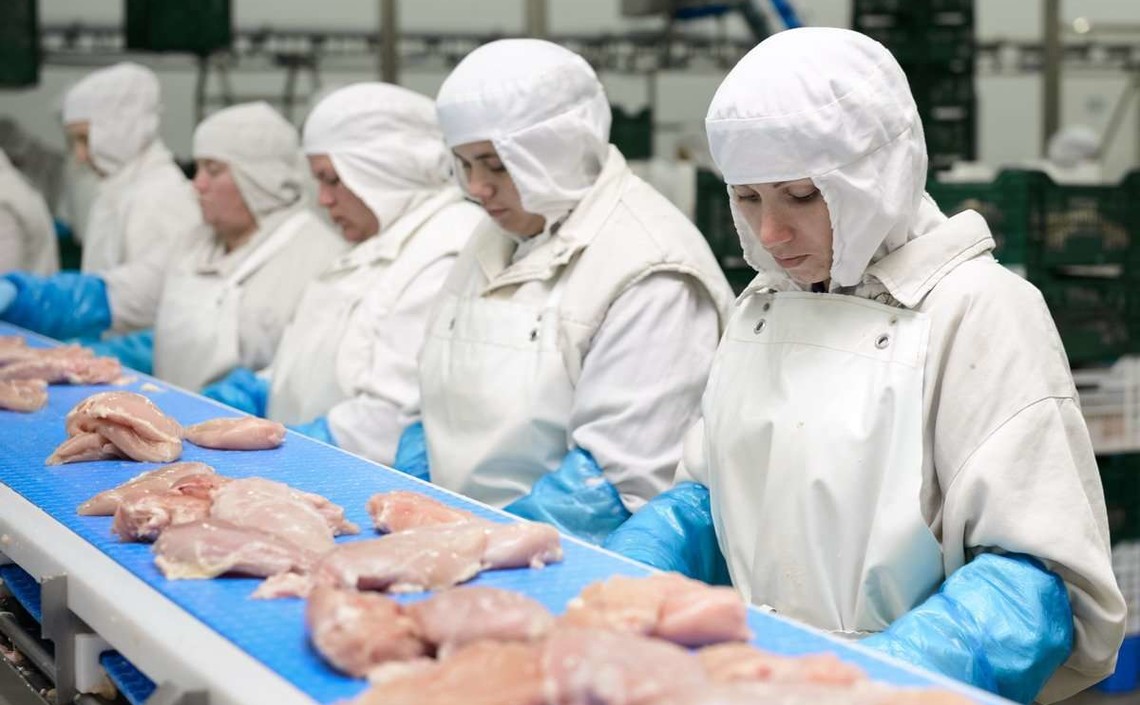 Брянская птицефабрика получила разрешение на экспорт курятины в Иран