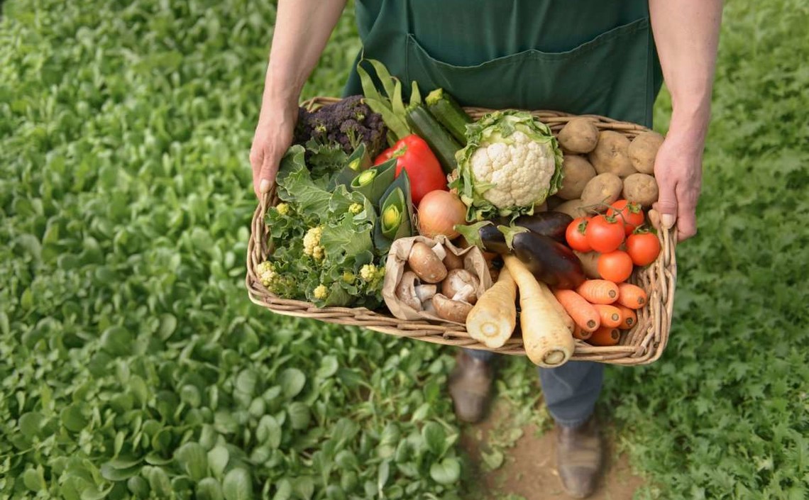 Производителям органической продукции советуют объединяться в кластеры