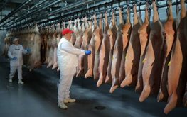 Россия рассчитывает к 2030 году войти в топ-5 экспортёров свинины в мире