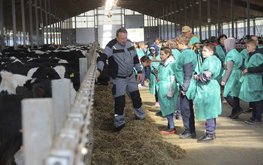 Глава Минсельхоза заявил об увеличении объёмов производства в российском животноводстве
