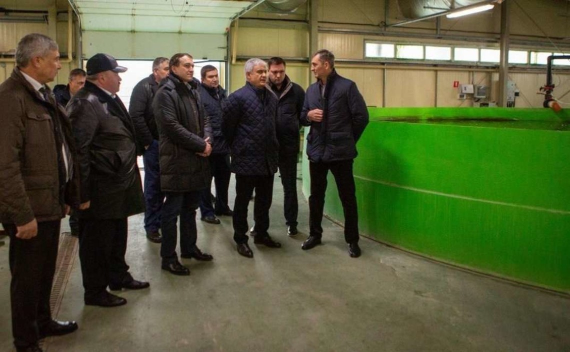 Сфера рыбоводства в Дагестане наращивает объёмы