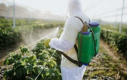 Россельхознадзор предлагает изменить законодательство в отношении пестицидов