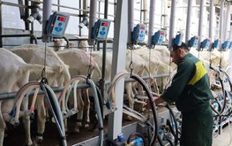 Минсельхоз обещает расширить и усовершенствовать поддержку аграриев
