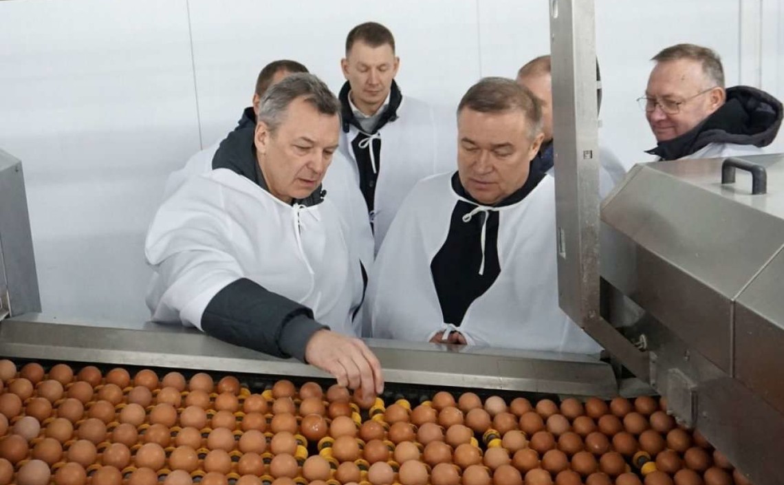 Производство пищевых куриных яиц на Дону выросло на 20%