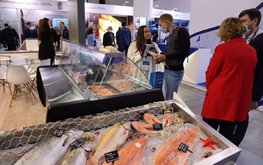 Госдума: рыбной отрасли необходим гарантированный сбыт внутри страны