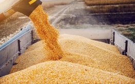 Минсельхоз не будет пересматривать квоту на экспорт зерновых в текущем сезоне