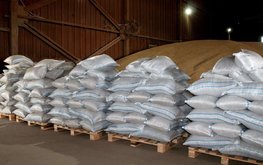 Рынок готовых кормов: структурные изменения и динамика цен