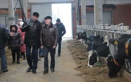 В Вологодской области ввели в строй животноводческий комплекс за 200 млн руб.