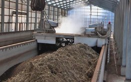 Голландские учёные оценили пригодность птичьего помета для разведения насекомых