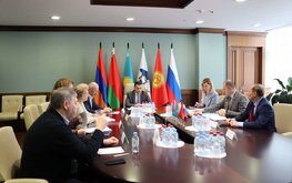 Эксперты стран ЕАЭС обсудили обеспечение аквакультуры рыбопосадочным материалом