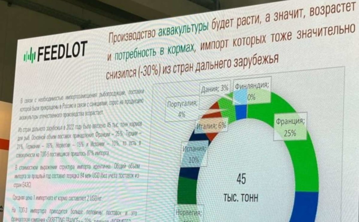 Мнение: импортозамещение на рынке кормов для рыб займет более трех лет
