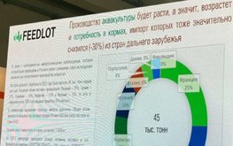 Мнение: импортозамещение на рынке кормов для рыб займет более трех лет